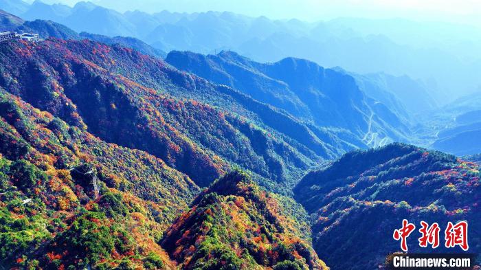 巴山大峽谷彩林迎來(lái)最佳觀賞期?！埰?攝