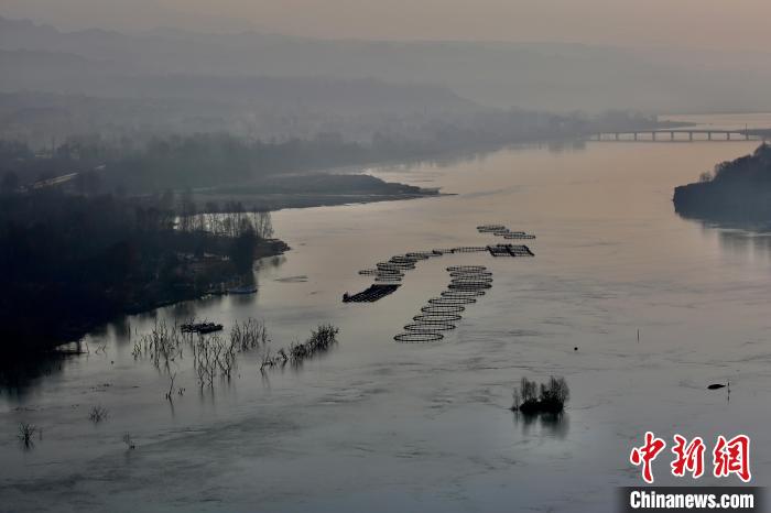 圖為冷水魚養(yǎng)殖?！±钣穹?攝
