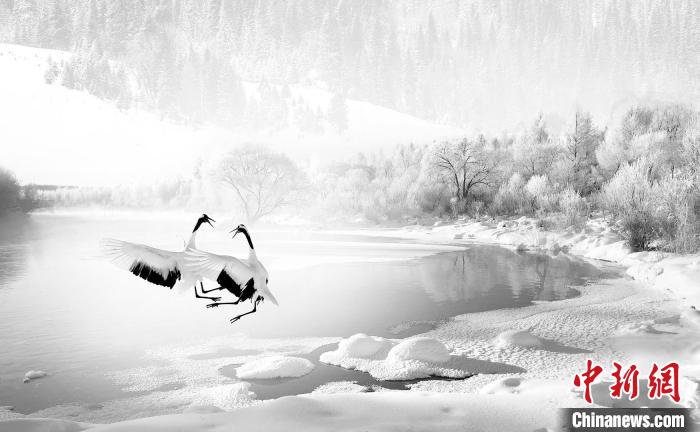 圖為焦生福的作品《鶴嬉雪林》?！∏嗪Ｊ∑钸B山自然保護(hù)協(xié)會(huì)供圖