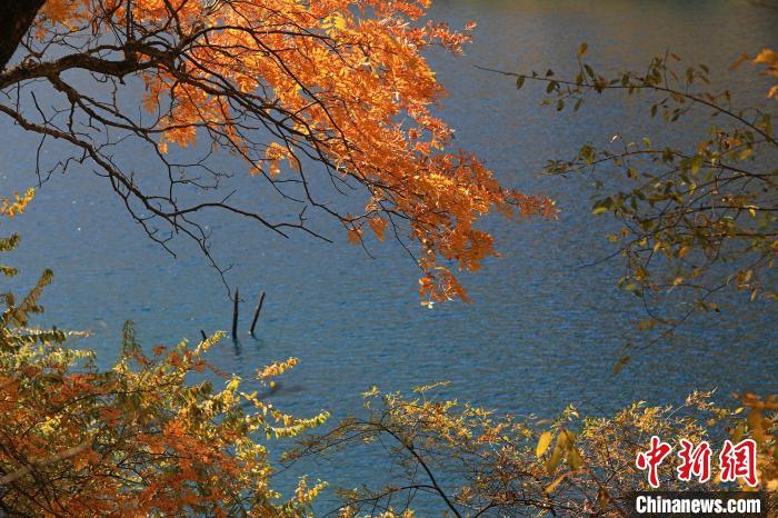 松坪溝風光?！⑼?攝