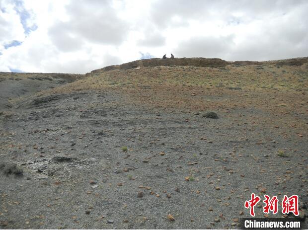 圖為本次研究的藏南曲布剖面二疊紀末期黑色頁巖?！∧瞎潘?供圖