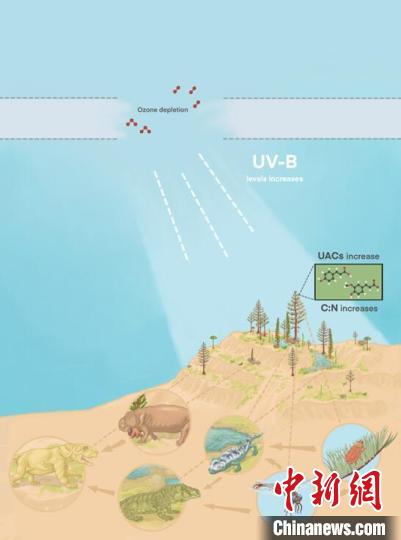 臭氧層破壞引起的紫外線輻射增加對陸地食物鏈的影響?！∧瞎潘?供圖