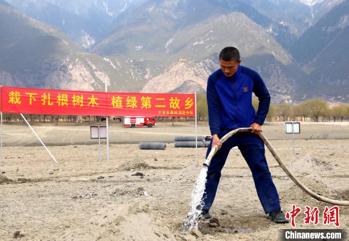 林芝市巴宜區(qū)森林消防中隊(duì)志愿服務(wù)隊(duì)澆水灌溉。　西繞拉翁 攝