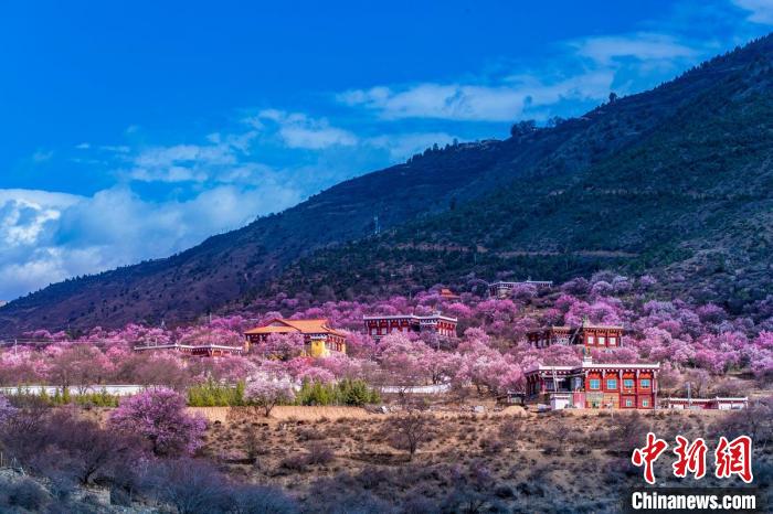 美麗的鄉(xiāng)村畫卷?！『涡秀?攝