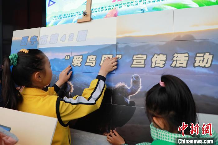 圖為學(xué)生通過(guò)拼圖游戲了解鳥(niǎo)類(lèi)知識(shí)?！●R銘言 攝