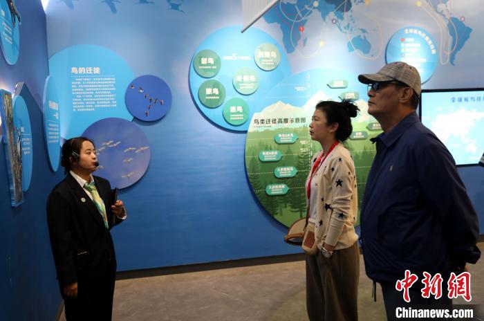 圖為臺(tái)商在祁連山國(guó)家公園生態(tài)科普館內(nèi)聆聽(tīng)講解?！⊙Φ?攝