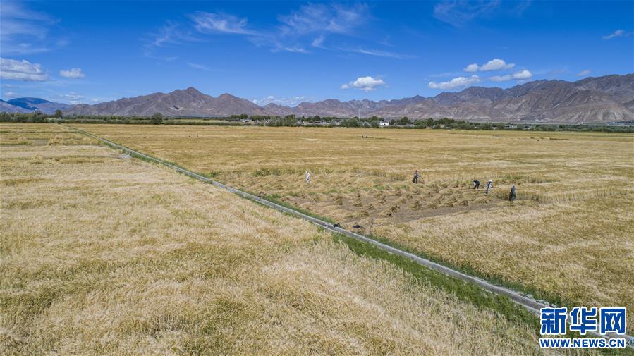 （新華全媒頭條·走向我們的小康生活·圖文互動(dòng)）（11）扎西德勒，我們的新家園——西藏易地扶貧搬遷搬出幸福美好新生活