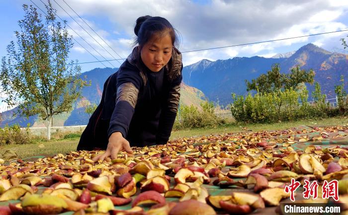 圖為通麥村村民巴桑拉姆晾曬切片蘋果?！∝暽＠?攝