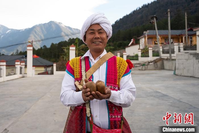 1月29日，京都村委會主任阿胖正在展示該村種植的獼猴桃。<a target='_blank' ><p  align=