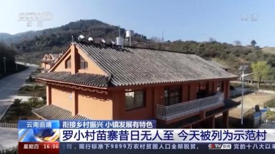 種蘑菇、養(yǎng)駱駝...。。特色產(chǎn)業(yè)助力鄉(xiāng)村振興走新路