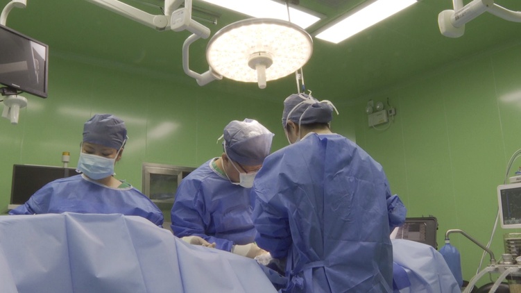 非洲各界點贊“和平方舟”:對中國為世界發(fā)展所做的一切說“謝謝”