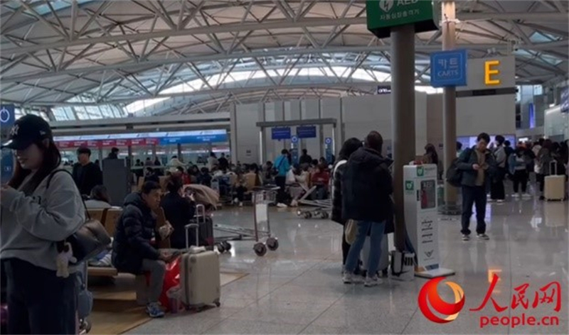 11月29日，繁忙的仁川機(jī)場(chǎng)。人民網(wǎng) 李帆攝