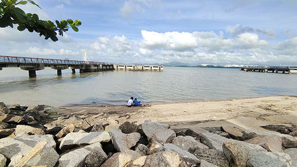 深圳紅樹林灘涂，留給了孩子們親近自然的空間。人民網(wǎng)記者 李彤?dāng)z