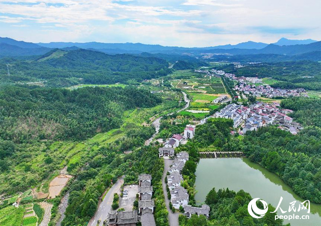 資溪縣森林資源豐富，森林覆蓋率達87.7%，有林地資源168萬畝。人民網(wǎng) 朱海鵬攝