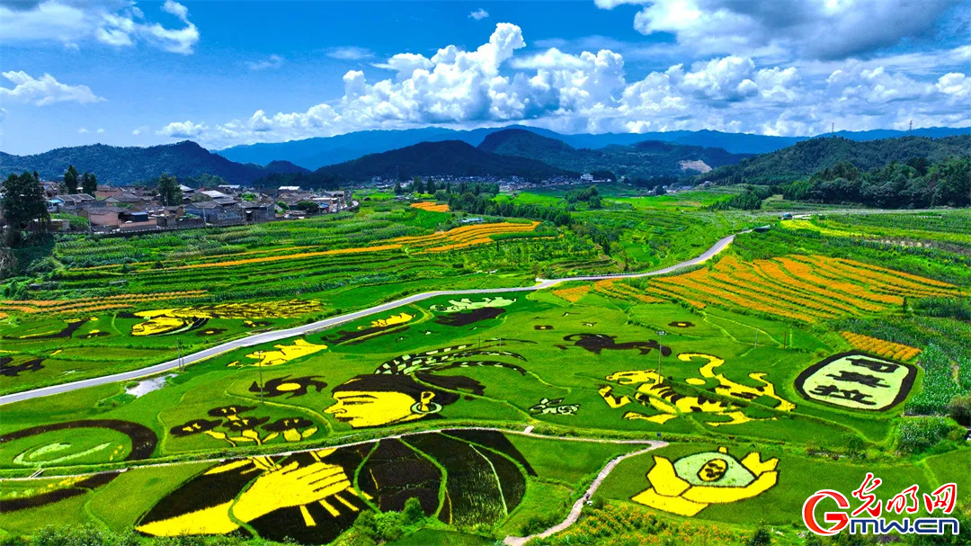 云南清水：延伸公共法律服務(wù)觸角，讓普法與民族團(tuán)結(jié)進(jìn)步互促共融