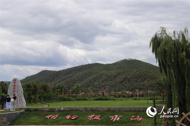 麗江市拉市海景區(qū)。 人民網(wǎng)記者 程浩攝