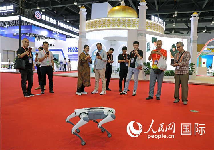 東博會上，觀眾正在參觀一只機器狗。綠色能源、新能源汽車、綠色農產品等成為本屆東博會觀眾關注的焦點。人民網記者 趙益普攝