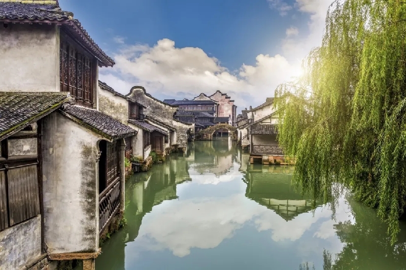 烏鎮(zhèn)動觀察｜這個(gè)字，牽起國際交流互鑒之紐帶