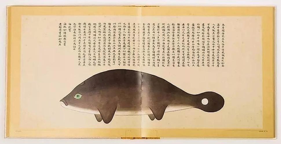 文化中國行 長江之歌丨微笑的江豚，從四千年前“游”來