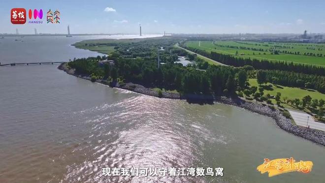 “縣”在起筆 青綠繪江山 | 江灣沐曉：褪去“銹色”走“金線”，繡出生態(tài)與產(chǎn)業(yè)“雙面錦”