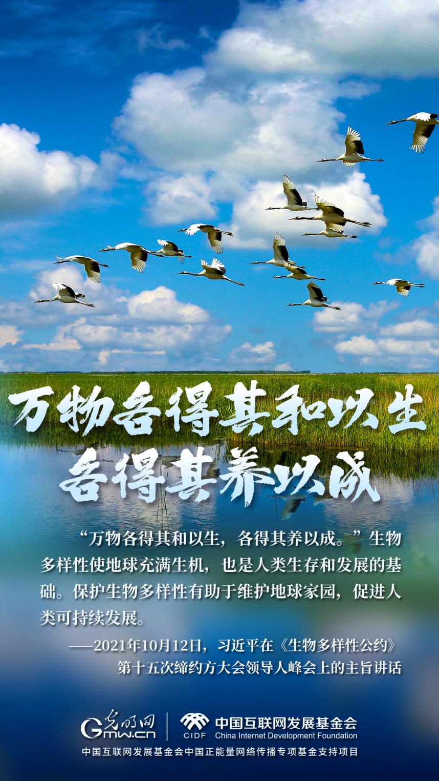 “兩山”理念與美麗中國(guó)丨濕地與候鳥，一場(chǎng)歲歲年年的相守