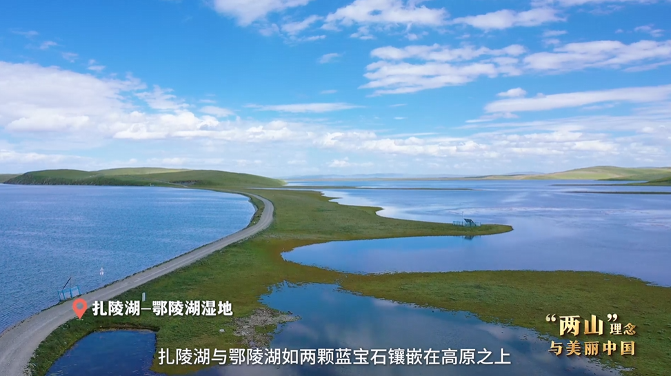 “兩山”理念與美麗中國(guó)丨濕地與候鳥，一場(chǎng)歲歲年年的相守