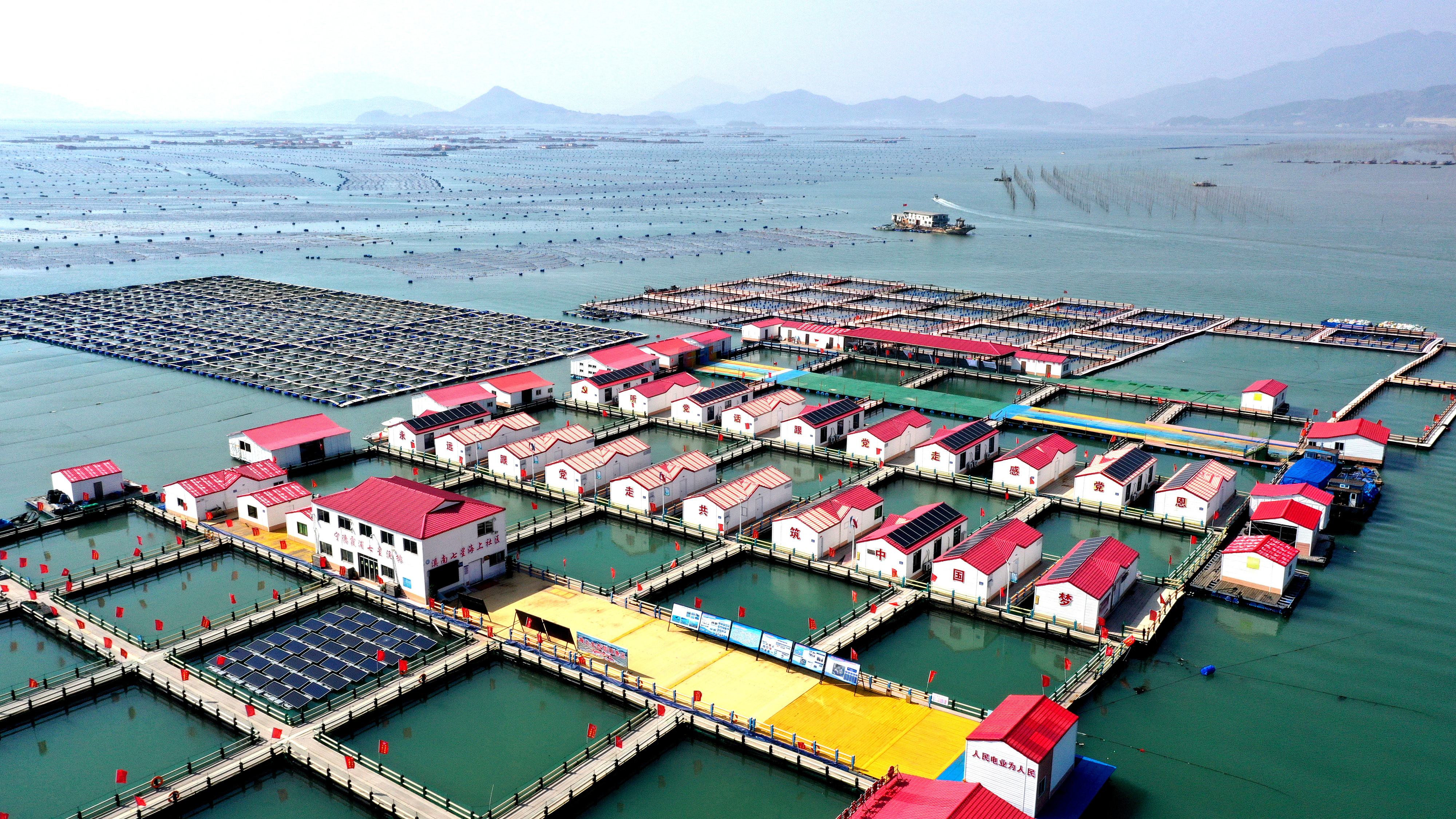 2024年3月20日，福建省寧德市，霞浦縣溪南鎮(zhèn)七星村漁排養(yǎng)殖示范區(qū)，漁民駕駛養(yǎng)殖船進(jìn)行海參養(yǎng)殖作業(yè)。