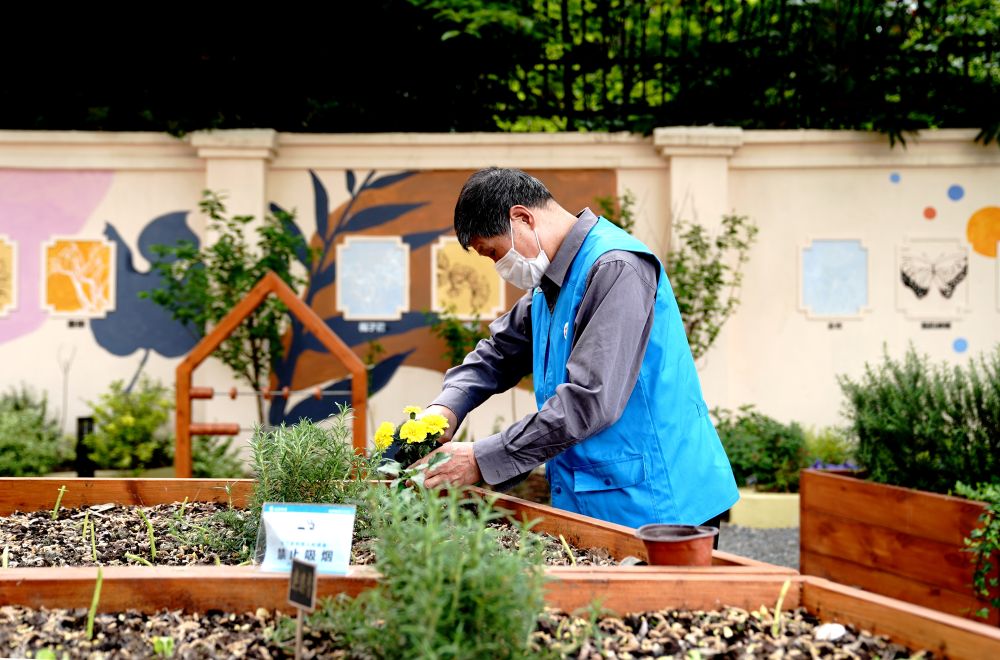 上海市長寧區(qū)虹旭小區(qū)居民在整理改造社區(qū)花園。居民們把堆肥箱里發(fā)酵出來的“綠色材料”和土壤拌在一起鋪在種植箱中（2020年4月22日攝）。新華社記者 張建松 攝