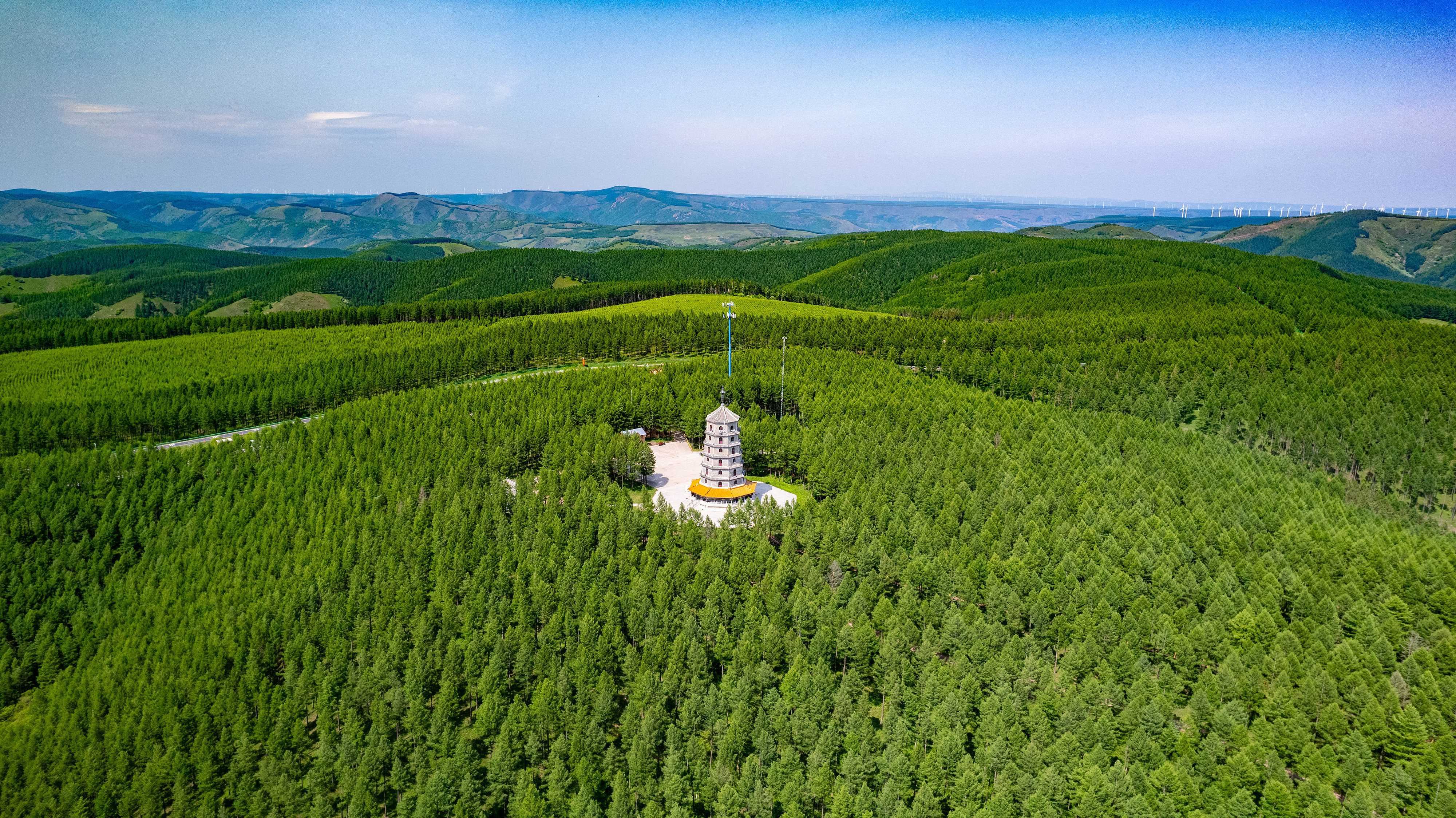 2025年6月11日，河北承德，塞罕壩林海浩渺。