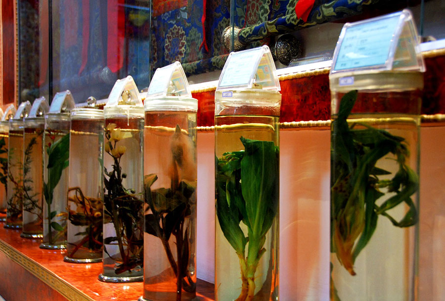 西藏山南藏醫(yī)醫(yī)院藏醫(yī)藥博物館的珍惜藏藥標?.jpg
