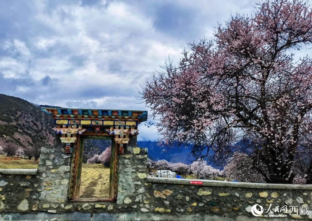 桃花下的藏式民居。人民網(wǎng) 李海霞攝
