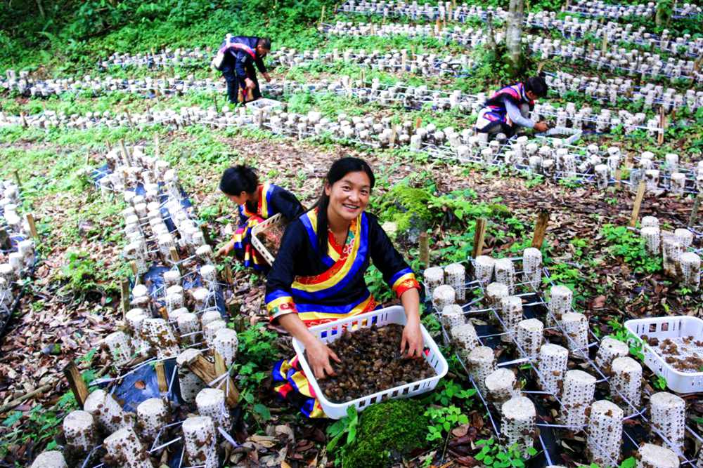 喜獲豐收展笑顏。次仁央宗攝
