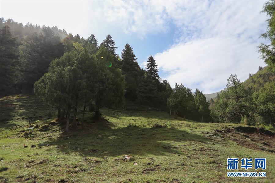 (美麗中國(guó))(2)祁連山下冰溝河 水草豐茂美如畫