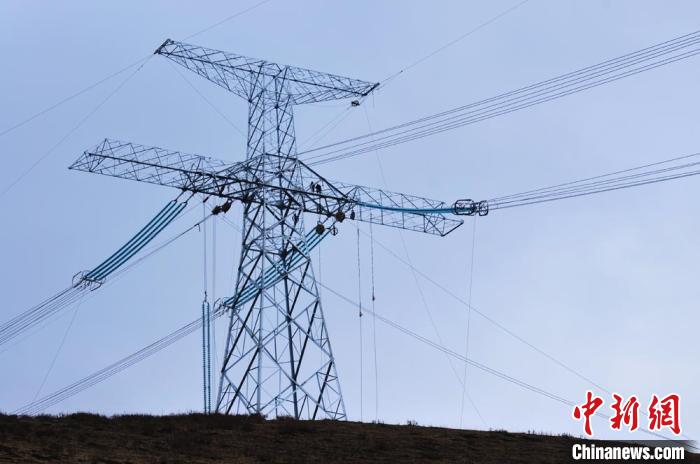 高原藏區(qū)電力線路建設(shè)者：高寒缺氧、扎刺掛彩是常事