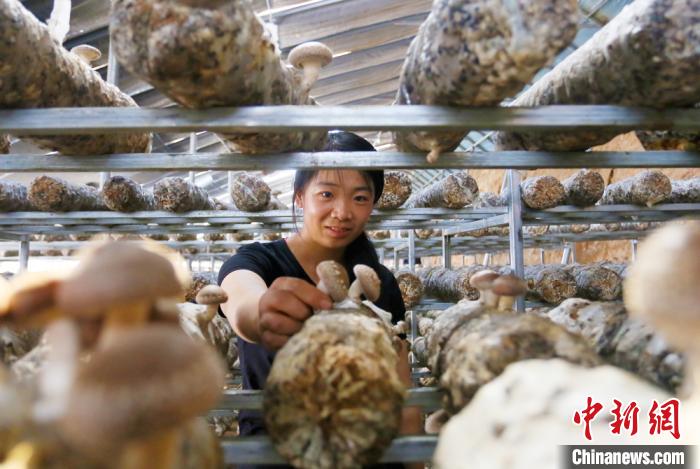 甘肅天?！跋愎椒蚱蕖毕律饺氪ǎ捍笈锢镉板X景”