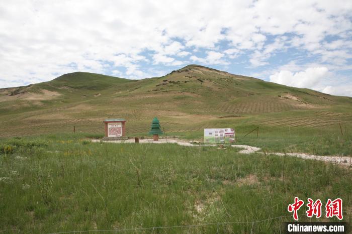 四川省阿壩州若爾蓋縣草原沙化治理后。若爾蓋縣林業(yè)和草原局供圖