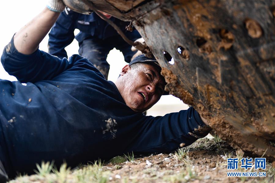 （圖文互動）（1）記者手記：可可西里，“挪”向“藏羚羊大產(chǎn)房”的14個半小時
