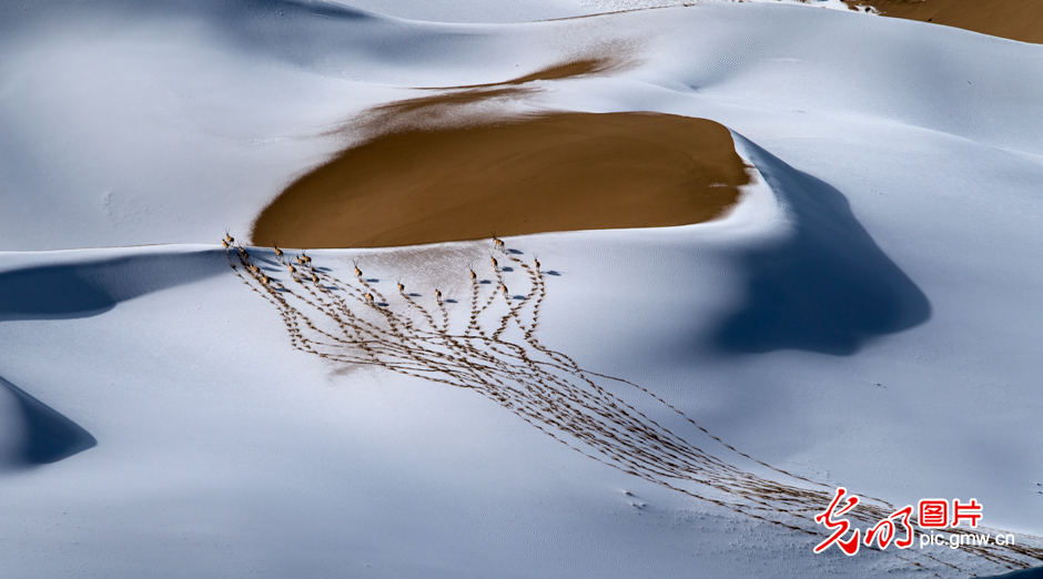 三江源國家公園正式設(shè)立，這是青海生態(tài)文明建設(shè)的新答卷
