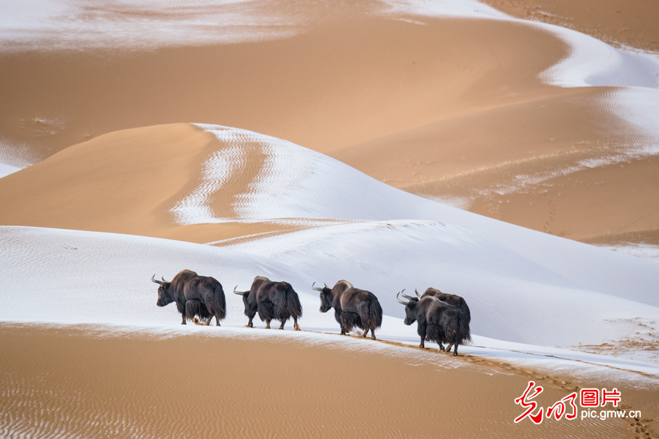 三江源國家公園正式設(shè)立，這是青海生態(tài)文明建設(shè)的新答卷