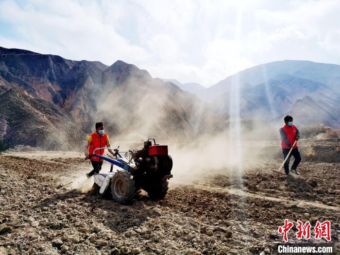 圖為拖拉機(jī)在山地犁地?！?zhí)砀?攝