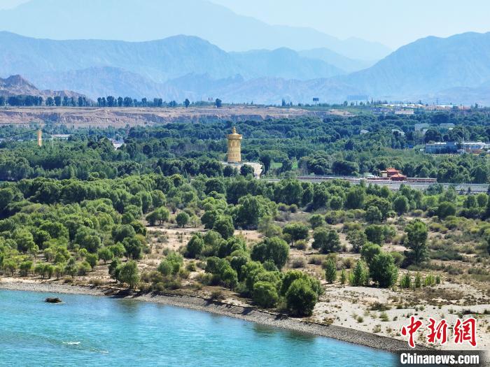航拍貴德縣黃河岸畔綠意盎然。　馬銘言 攝