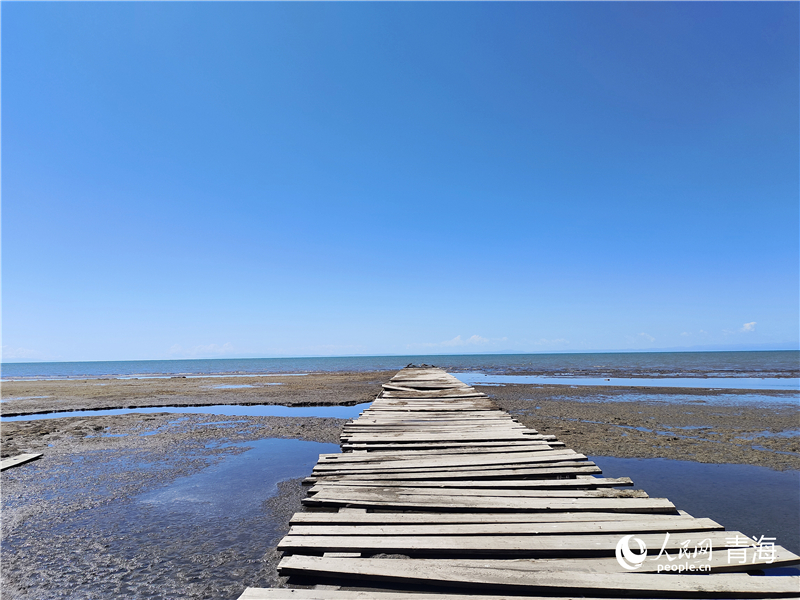   青海湖仙女灣。人民網(wǎng) 張莉萍攝