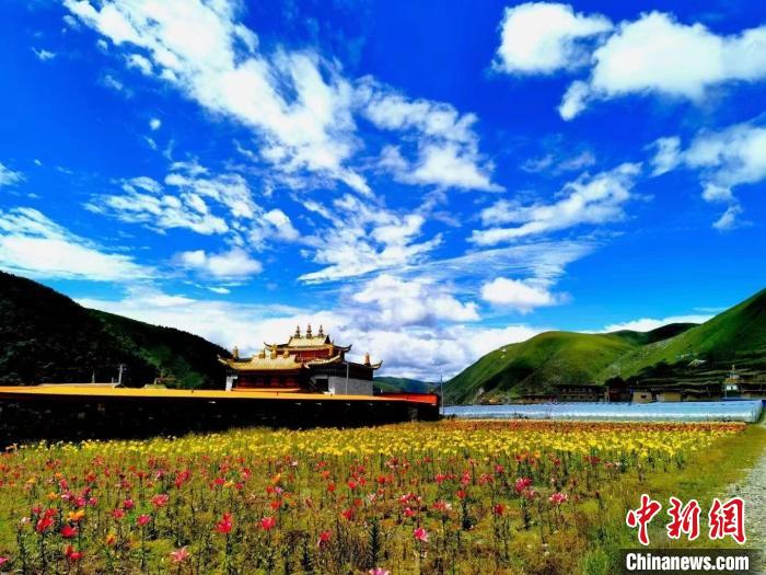 近百畝百合花競相開放，景色誘人?！∪捞量h委宣傳部供圖