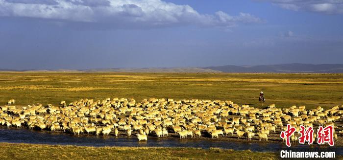 青?，敹唷鞍渍渲椤弊尠傩斟X袋鼓起來