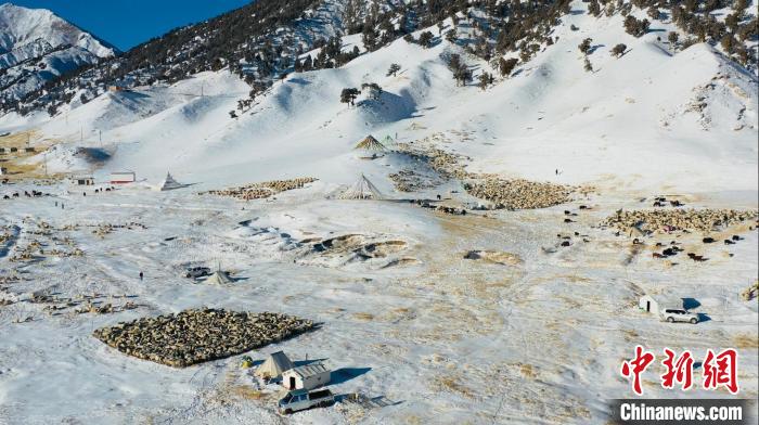 圖為無(wú)人機(jī)航拍牧場(chǎng)?！《继m縣融媒體中心供圖