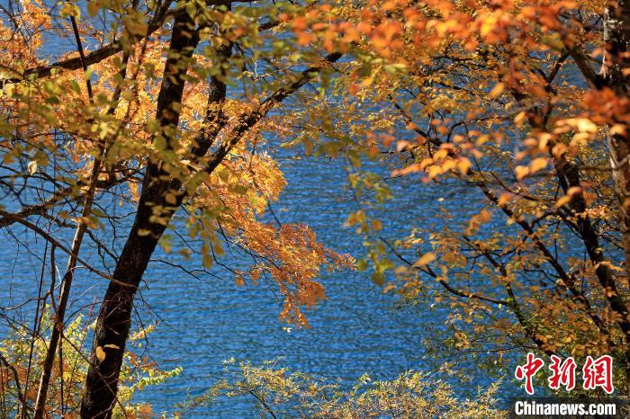 松坪溝風光?！⑼?攝