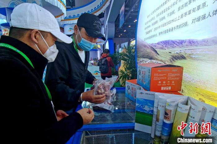 圖為青海參展商整理牛羊肉?！±铍h 攝