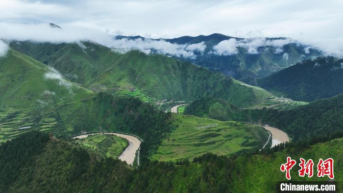 資料圖為果洛州境內(nèi)瑪可河國家森林公園。　馬銘言 攝