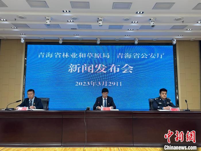 青海去年占用林地、草地準予許可件同比實現(xiàn)“雙減”