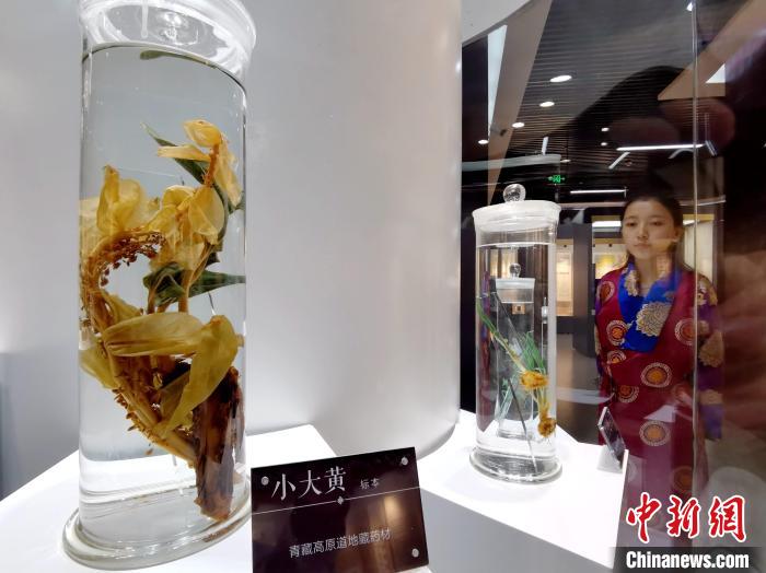 青海中藏醫(yī)藥發(fā)展提速：建設(shè)一批重點(diǎn)?？茖W(xué)科，推廣一批適宜技術(shù)